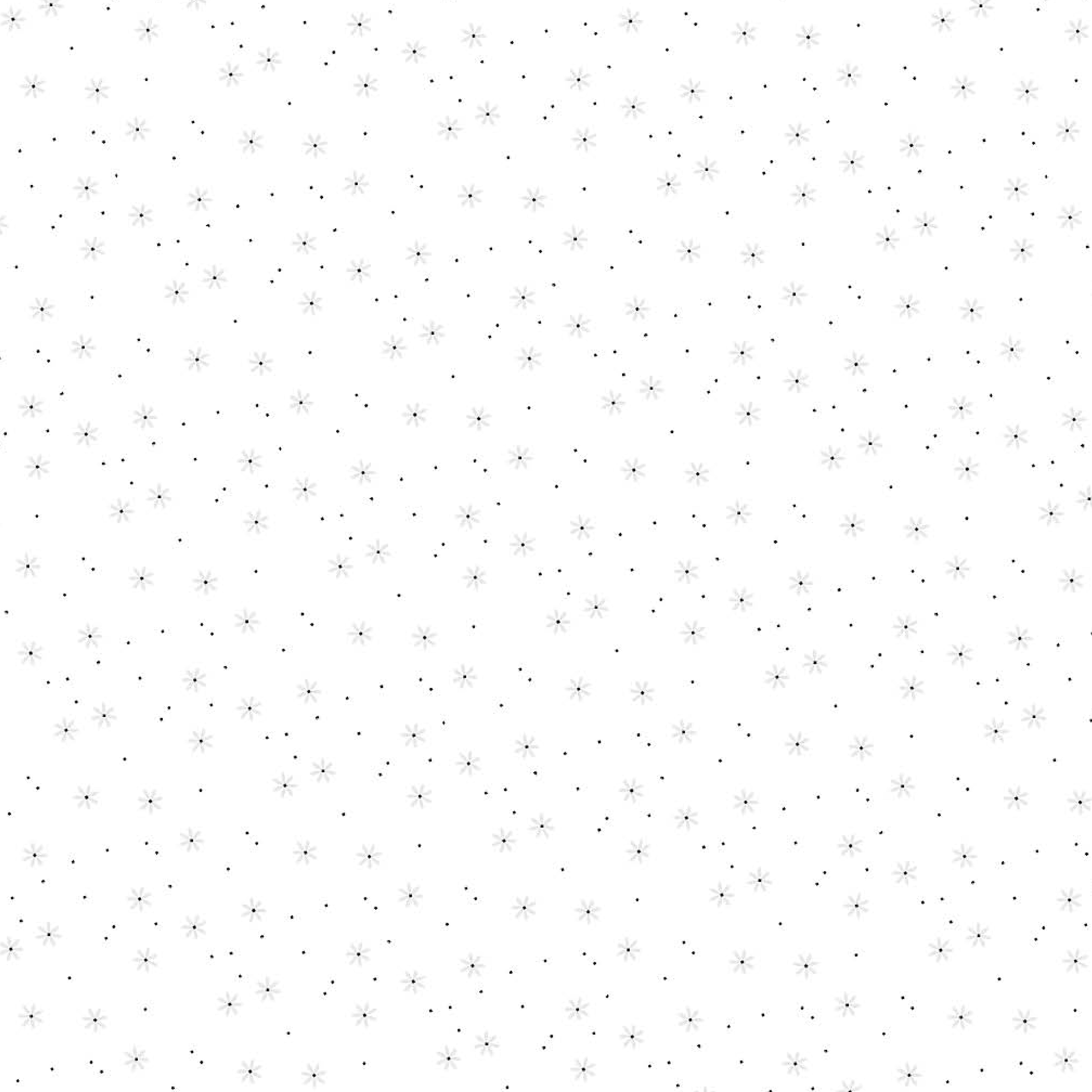 hellgraue Blüten aus weißem Hintergrund