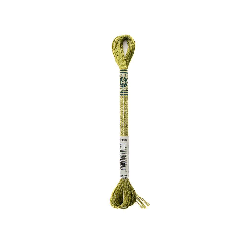 Ein Strang hellgrüner DMC-Stickereiwolle mit einem beschrifteten Zentrum, perfekt für detaillierte Handarbeiten und eine einfache Farbidentifizierung.