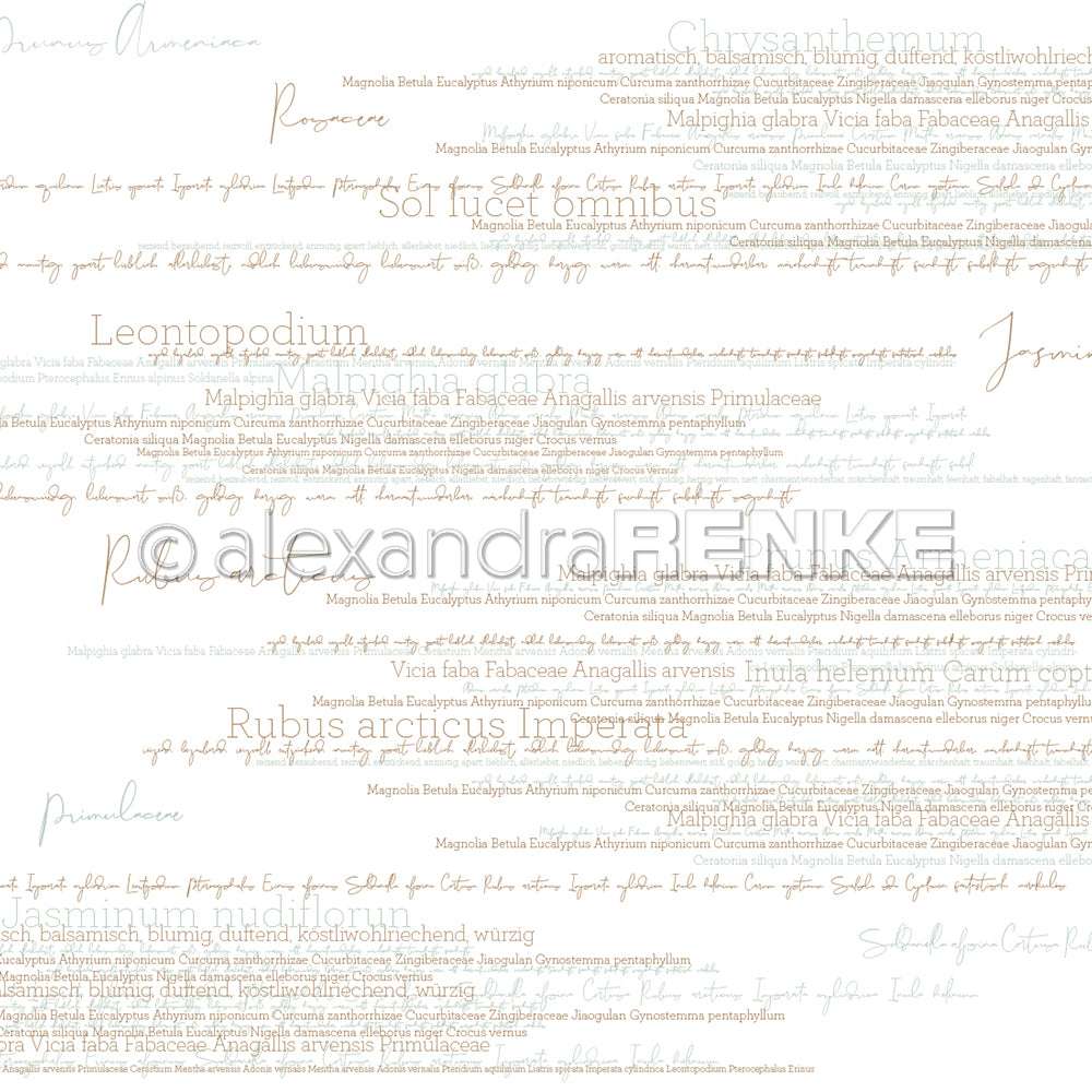 Verblasste botanische Namen wie Ambrosia und handgeschriebener Text verteilen sich auf einem weißen Hintergrund, der sich ideal für Papierprojekte eignet - komplett mit Alexandra Renke-Wasserzeichen.