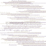Alexandra Renke Designpapier bietet stilisierte Textkunst mit sich überschneidenden lateinischen Pflanzennamen und inspirierenden Sprüchen in zartem Lila und Gold - ideal für Papierprojekte oder alle, die Blumennamen in Violett lieben.