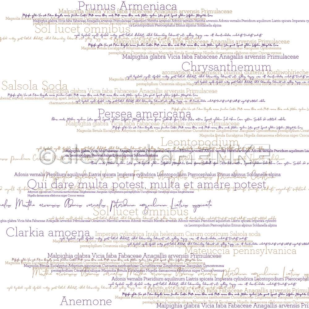 Alexandra Renke Designpapier bietet stilisierte Textkunst mit sich überschneidenden lateinischen Pflanzennamen und inspirierenden Sprüchen in zartem Lila und Gold - ideal für Papierprojekte oder alle, die Blumennamen in Violett lieben.