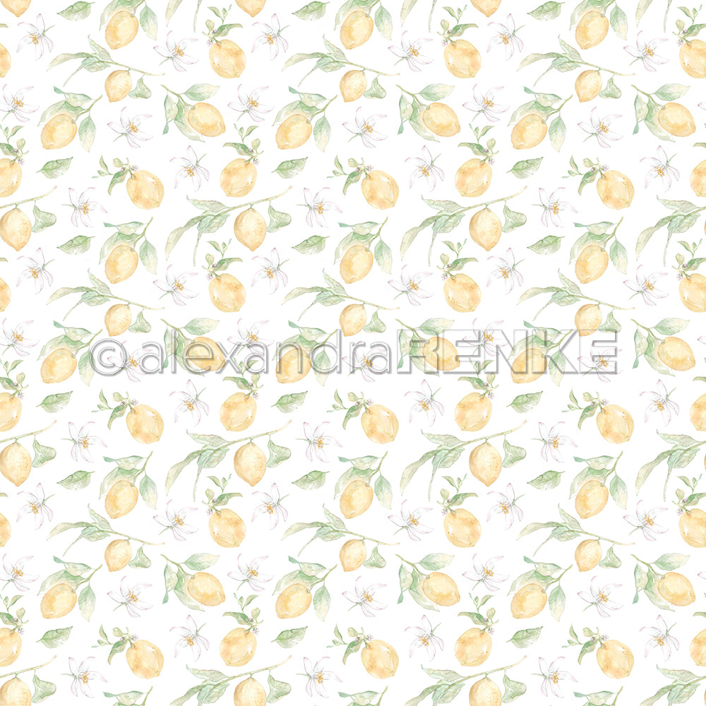 Design paper 'Big lemons rapport'