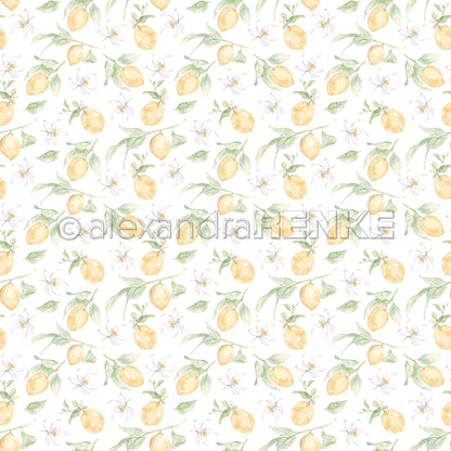 Design paper 'Big lemons rapport'