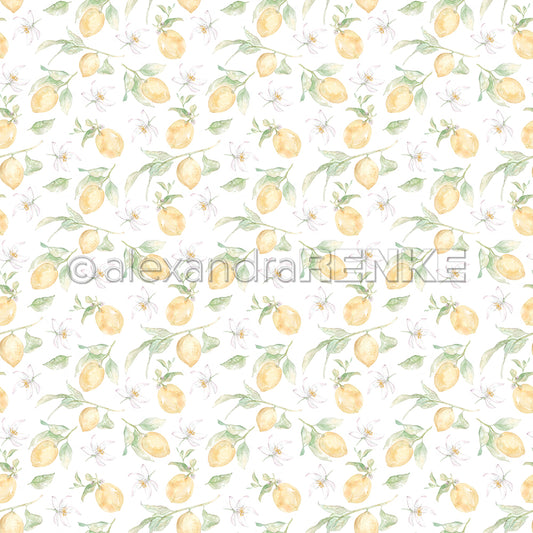 Design paper 'Big lemons rapport'