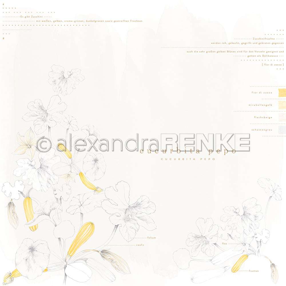 Zarte Skizze von Kürbispflanzen mit gelben Blüten und Blättern auf Weiß, minimale Aquarell-Akzente - ideales Designpapier von Alexandra Renke für Buchbinderei oder einzigartige Papierprojekte.