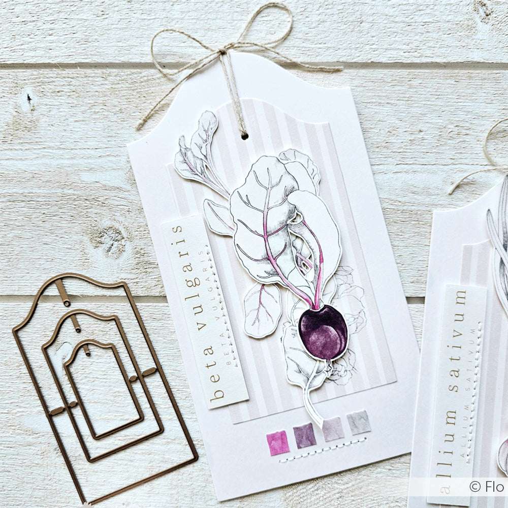 Eine botanische Karte von Alexandra Renke mit einer Illustration von Rüben (beta vulgaris) in zartem Lila und Grau - ideal für Papierprojekte oder als elegante Ergänzung Ihrer Buchbinderei-Kreationen.