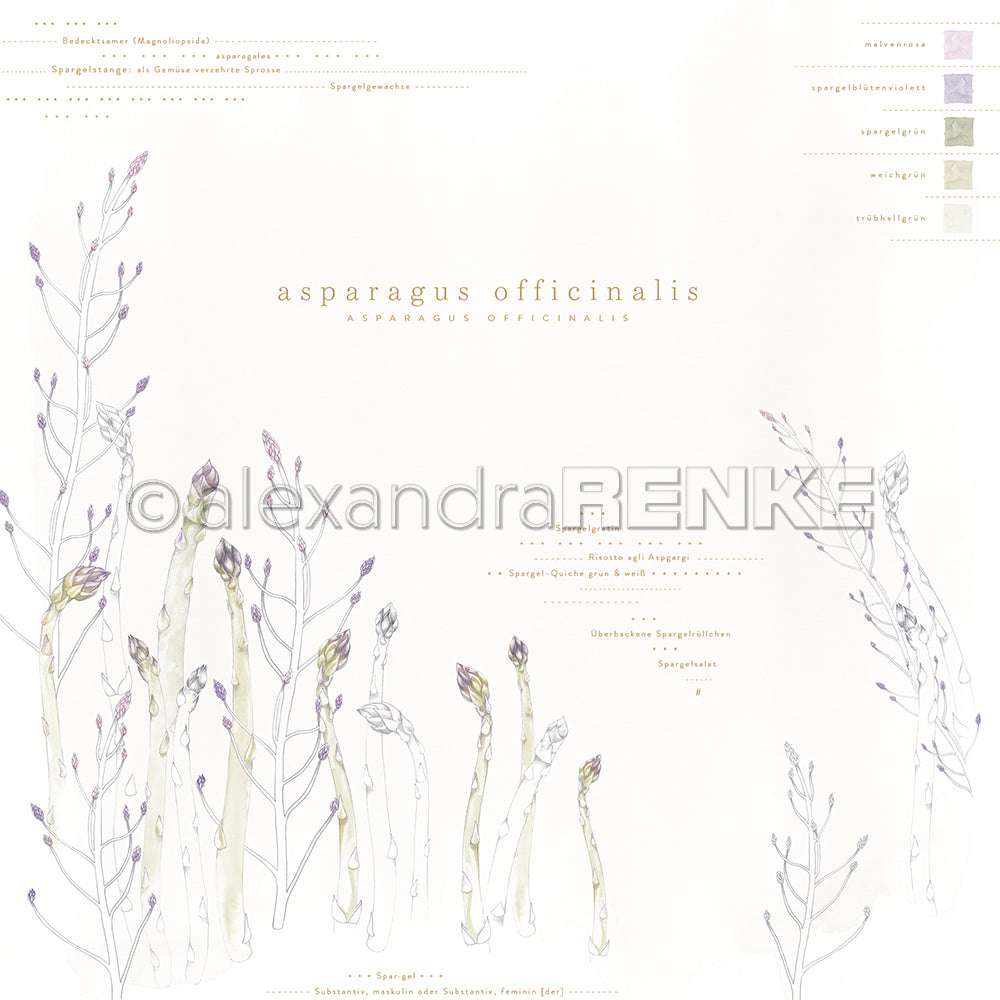 Zarte Aquarell-Illustration von weißen und lila Spargelstangen mit botanischen Etiketten und Text von Alexandra Renke, perfekt für Designpapier oder Papierprojekte in der Buchbinderei.
