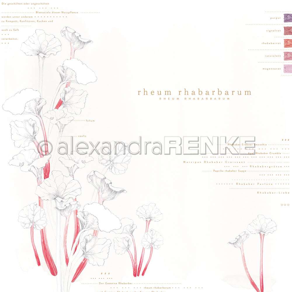 Zarte Rhabarber-Illustration von Alexandra Renke mit roten Stängeln, Blattspitzen und Textdetails auf Weiß - ideal für Buchbinderei oder einzigartiges Designpapier in Ihren Papierprojekten.