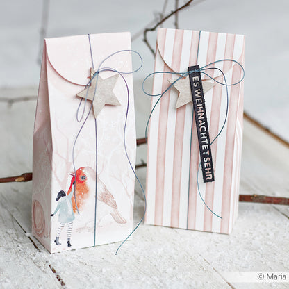 Design paper 'Robin winter friendship'