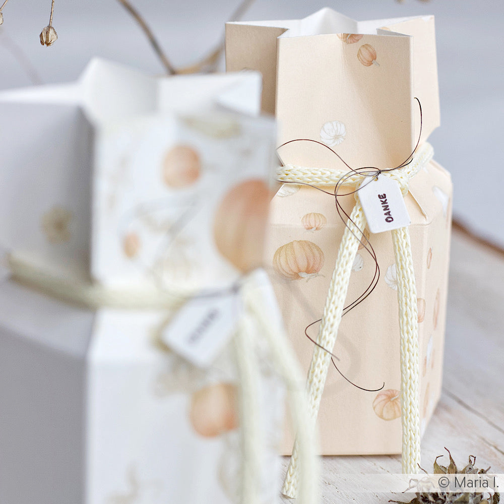 Zwei pastellfarbene Geschenkboxen mit Kürbismotiven von Alexandra Renke, gefertigt aus hochwertigem Designpapier und veredelt mit cremefarbener Kordel und Danke-Anhängern, ruhen auf einem hellen Untergrund - perfekt für herbstliche Papierprojekte.