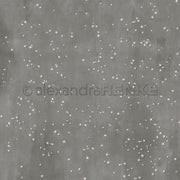 Das Alexandra Renke Sternenzauber Diamantgrau Designpapier hat einen grauen Hintergrund mit verstreuten weißen Sternen und einem schwachen Wasserzeichen, das jedem kreativen Papierprojekt dezenten Glanz und Eleganz verleiht.