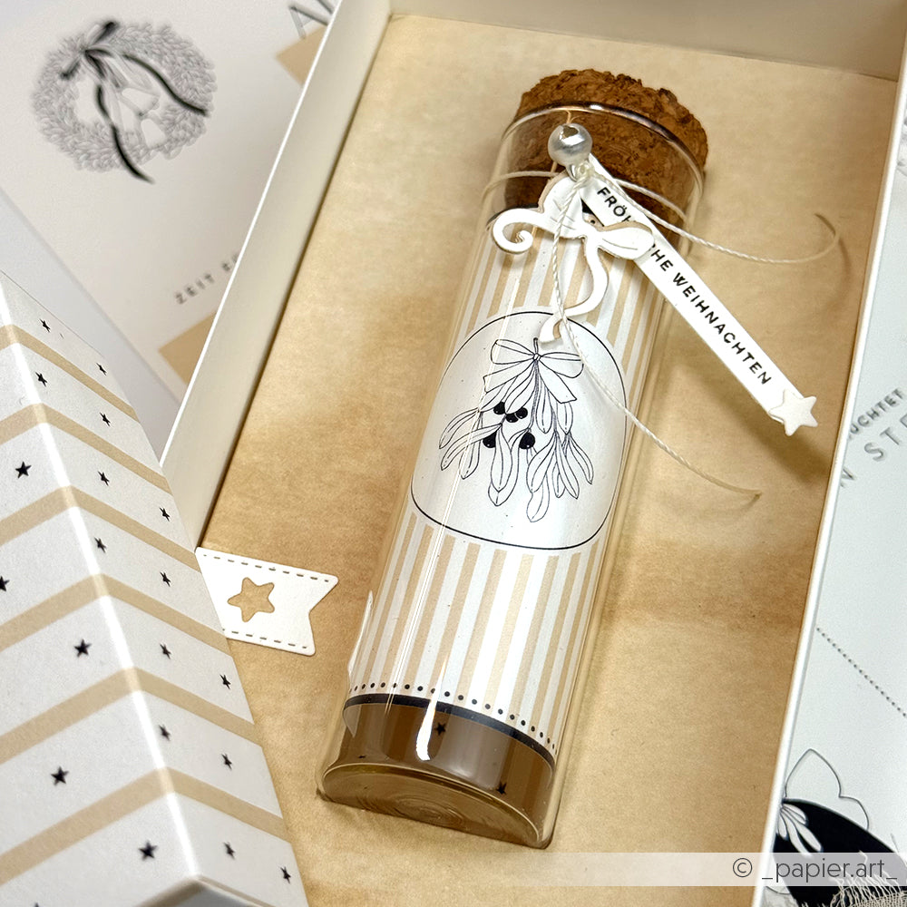 Eine Glasröhre mit Korken, verziert mit einem Mistelzweig und einem "Frohe Weihnachten"-Anhänger, kommt in einer festlichen Box mit Designpapier Weihnachtsmagie von Alexandra Renke - perfekt für weihnachtliche Papierprojekte.