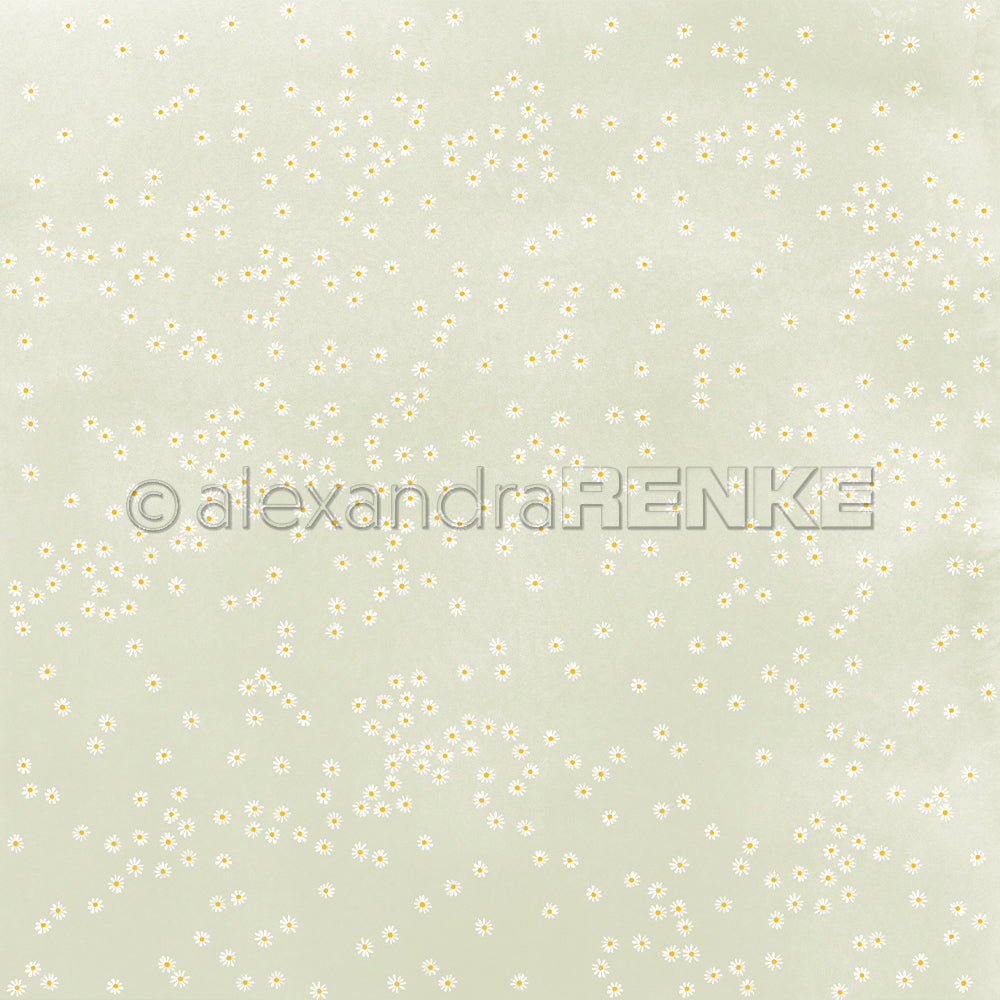 Blassgrüner Hintergrund mit kleinen weißen Gänseblümchen, ideal für Buchbinderei und Papierprojekte. Mit dem Wasserzeichen Alexandra Renke.