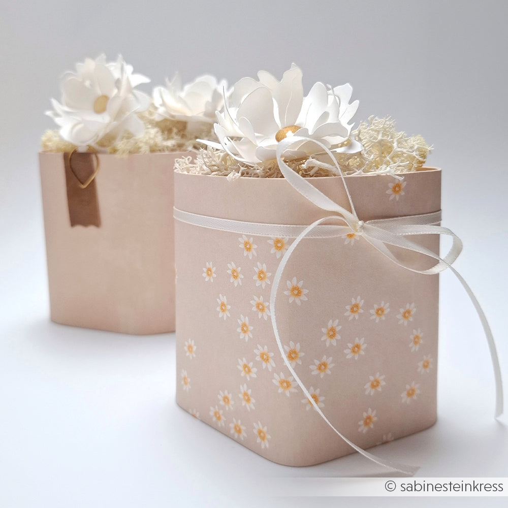 Zwei pastellfarbene Geschenkschachteln mit weißen Blumen- und Schleifendetails, eine davon mit einem Gänseblümchenmuster, wunderschön gestaltet mit Alexandra Renke Designpapier - ideal für charmante Papierprojekte.