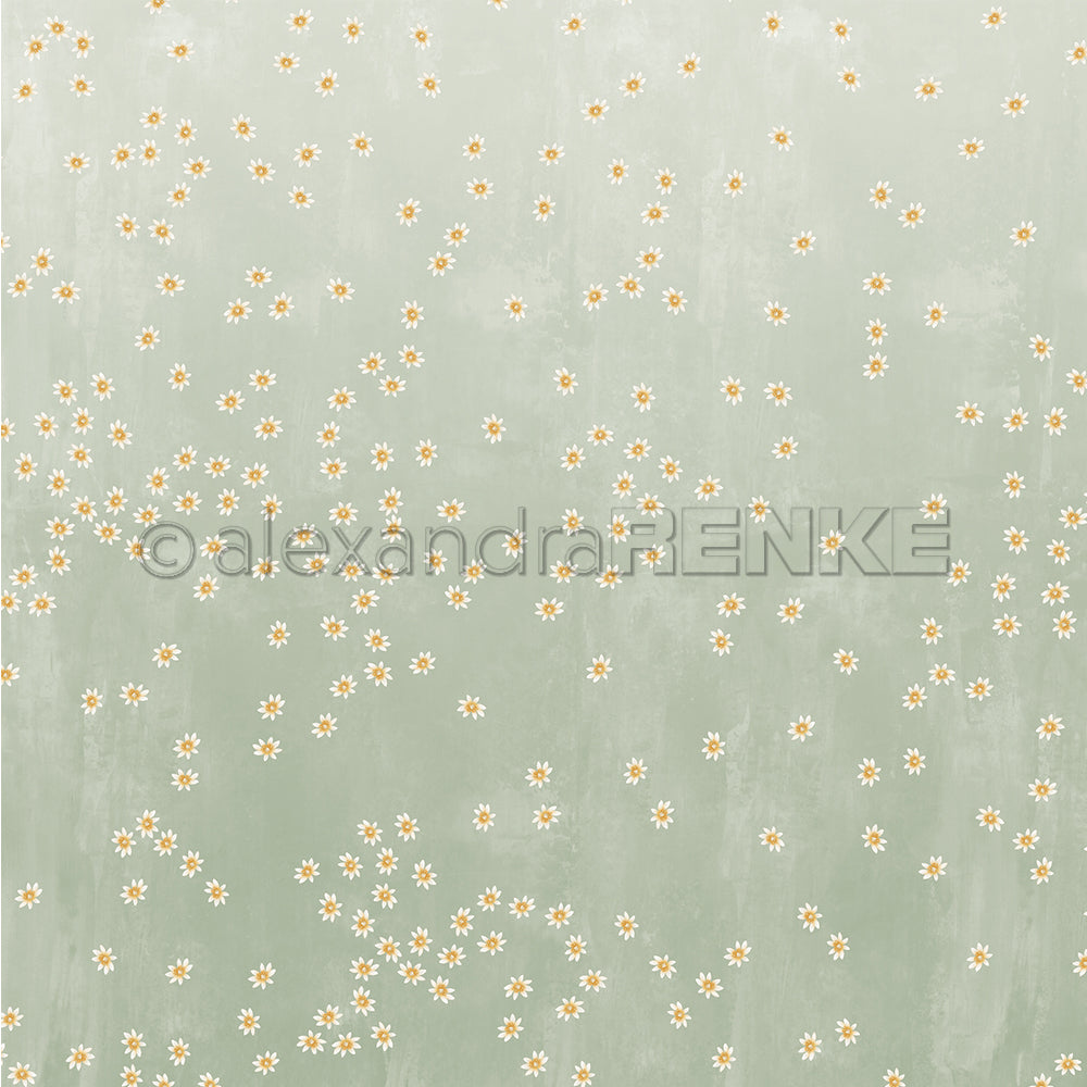 Hellgrüner Hintergrund mit verstreuten weißen und gelben Gänseblümchen - dieses Alexandra Renke Designpapier ist perfekt für Papierprojekte oder zum Feiern Ihrer Lieblingsblüten.