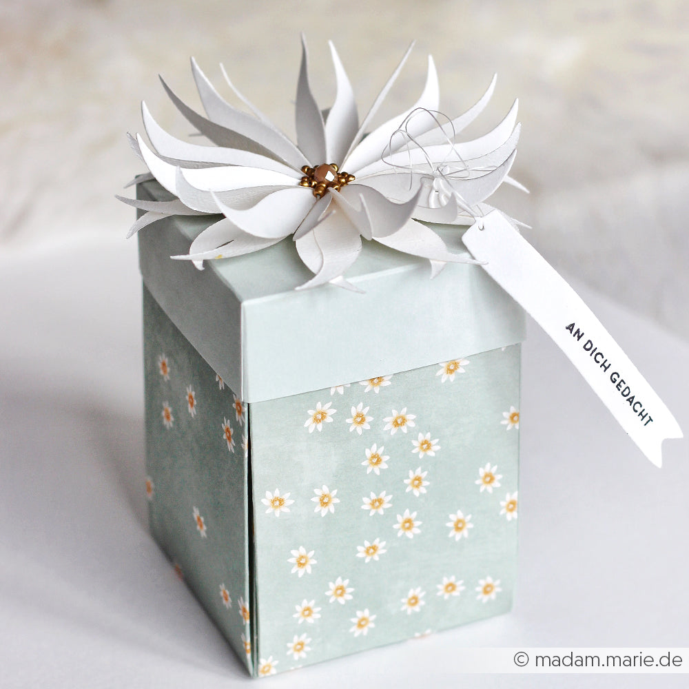Quadratische Geschenkbox von Alexandra Renke mit Gänseblümchen-Muster in salbeigrünem Designpapier, verziert mit einer weißen Papierblume und einem Anhänger mit der Aufschrift "AN DICH GEDACHT.