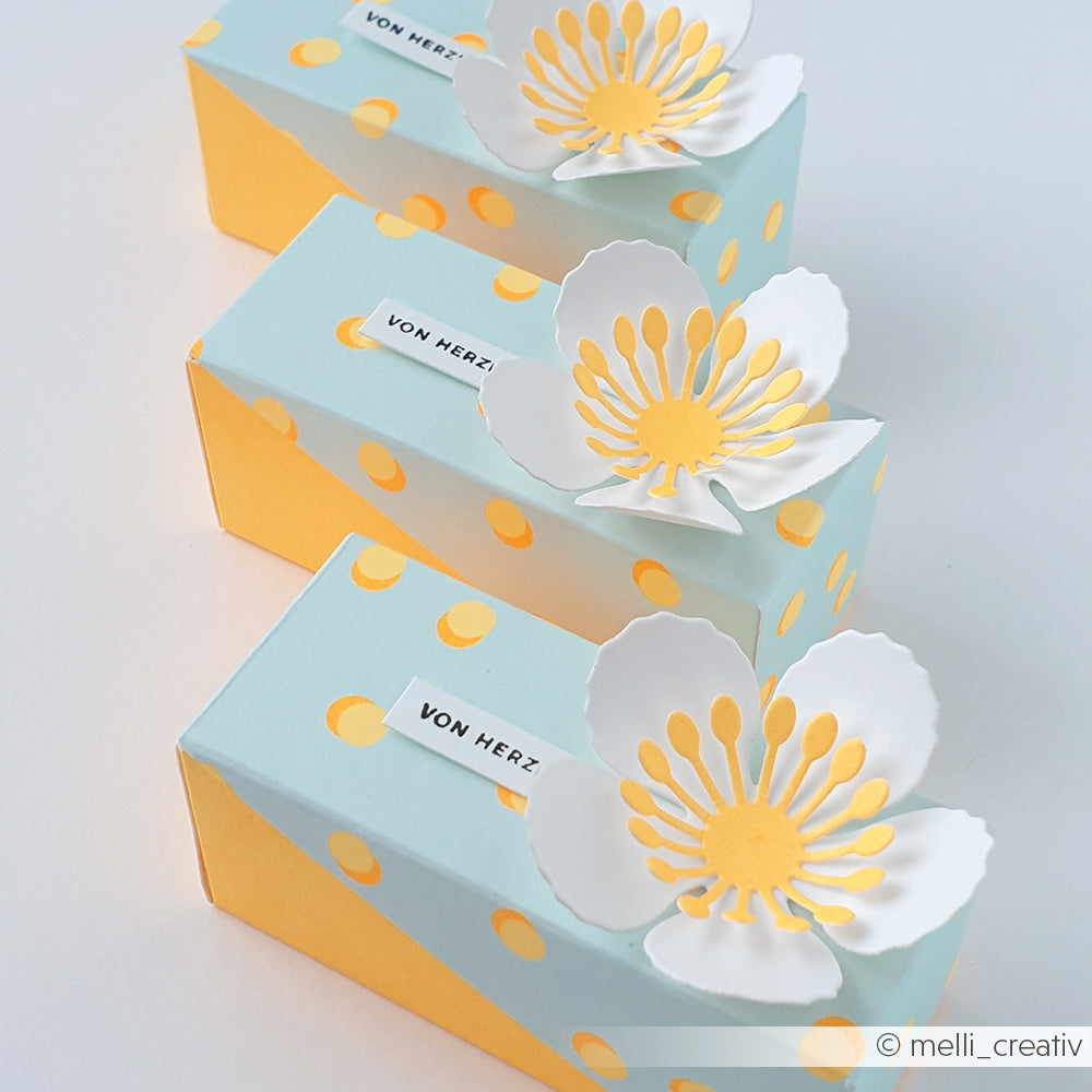 Drei pastellfarbene Geschenkboxen aus dem Designpapier „Sommer Special Tupfen“, verziert mit gelben Punkten und weißen Papierblumen auf der Oberseite, sind in einer diagonalen Linie angeordnet.