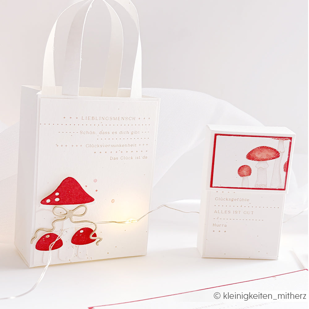Eine Geschenktüte und eine kleine Schachtel mit Pilzmotiven und einem Text aus deutschem Designpapier.