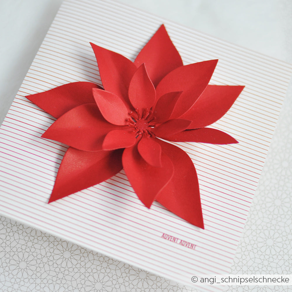 Eine Geschenkbox mit zarten Streifen und einem großen, leuchtend roten Weihnachtsstern aus Papier darauf.