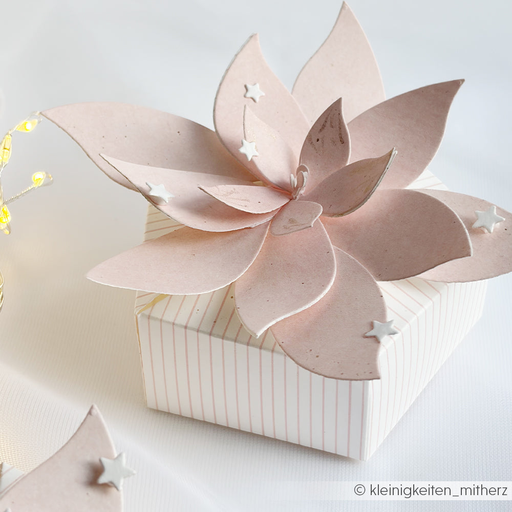 Eine Geschenkbox mit zarten rosa Streifen, verziert mit einer Papier-Sukkulente und winzigen weißen Sternchen.