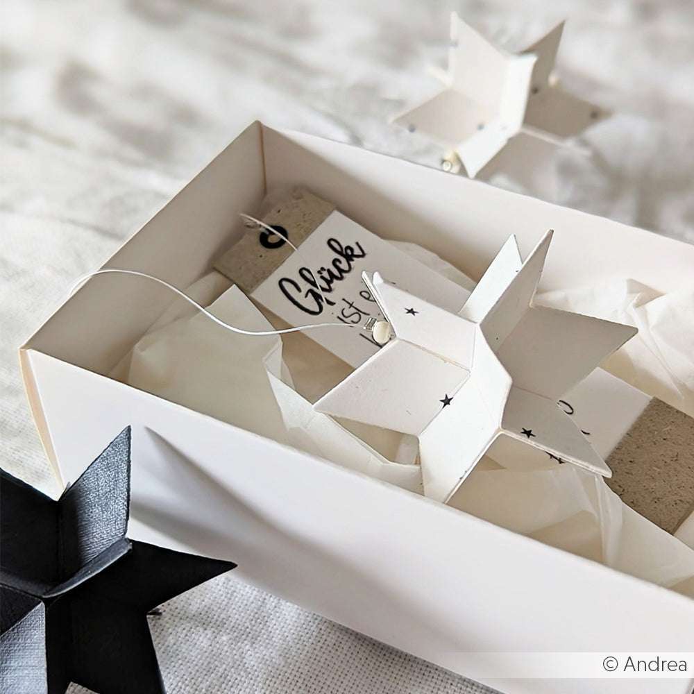 Alexandra Renke weiße Papierstern-Ornamente mit einem 3D-Faltstern klein aus Stanzsystemen, dazu ein Geschenkanhänger in einer weißen Schachtel und ein schwarzer Stern auf einer hellen Fläche.