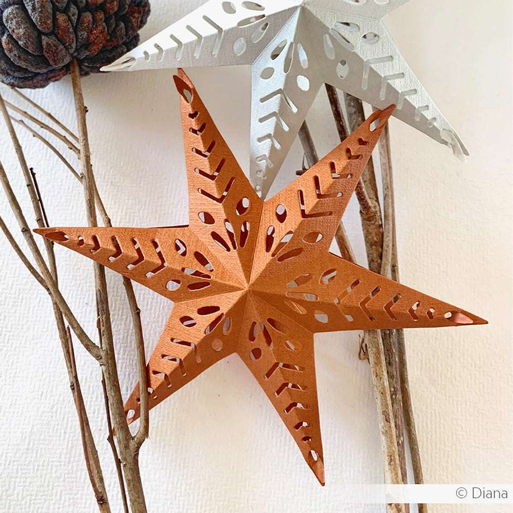 Braune und weiße Papiersterne mit ausgeschnittenen Motiven, die mit Alexandra Renke Designpapiere und Motivstanze Steckstern gebastelt wurden, werden auf Zweigen mit einem Tannenzapfen präsentiert.