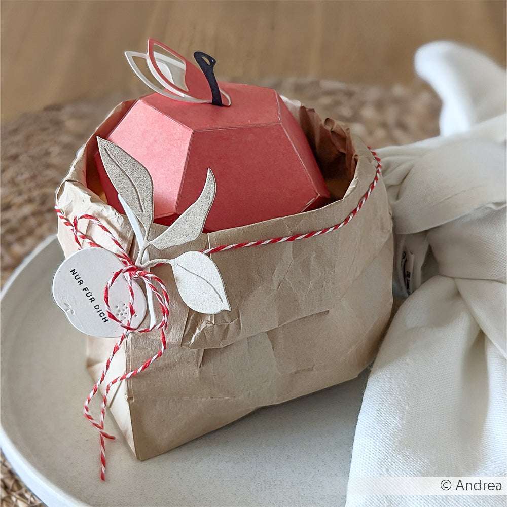 Die mit Designpapieren und der Motivstanze Apfel Box gefertigte Apfel-Geschenkbox aus rotem Papier von Alexandra Renke ist mit Blättern, braunem Geschenkpapier und Schnur versehen und wird auf einem Teller präsentiert.