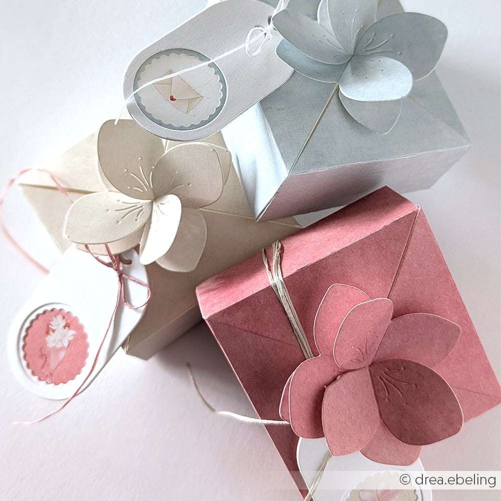 Drei pastellfarbene Geschenkschachteln mit Blumenschmuck aus Papier von Alexandra Renke PAPPcut®ies Motivstanze, jeweils mit einem Geschenkanhänger versehen, sind auf einer weißen Fläche angeordnet.