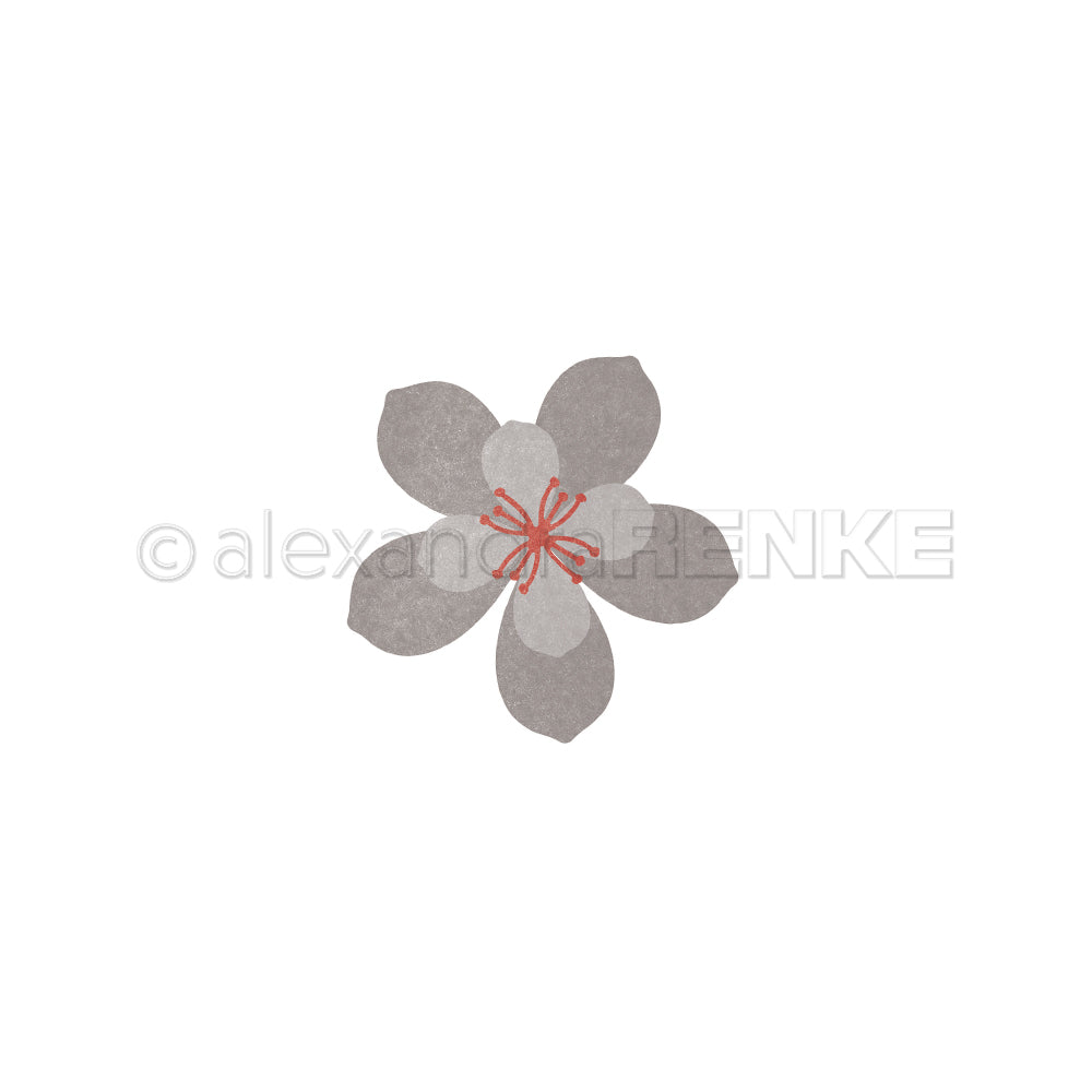 Alexandra Renkes schlichte graue 3D-Kirschblüte mit fünf Blütenblättern und einer roten Mitte steht auf weißem Hintergrund.