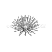Schwarz-Weiß-Foto einer einzelnen Blume mit langen, schmalen Blütenblättern, zentriert auf weißem Hintergrund, das an die filigranen Formen erinnert, die mit der „Motivstanze 3D Pusteblume“ von Alexandra Renke für einzigartige Designpapier-Projekte entstehen.