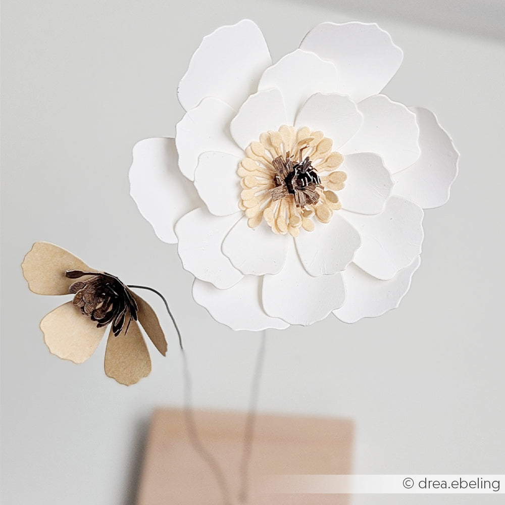 Zwei zarte Papierblumen aus Designpapieren von Alexandra Renke – eine große weiße und eine kleine beige – stehen auf dünnen Stielen vor einem schlichten Hintergrund und erinnern an eine elegante 3D-Pfingstmondblume.