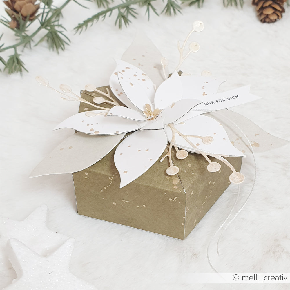 Eine grüne Geschenkbox mit einem Weihnachtsstern aus Papier und einem Anhänger mit der Aufschrift NUR FÜR DICH.