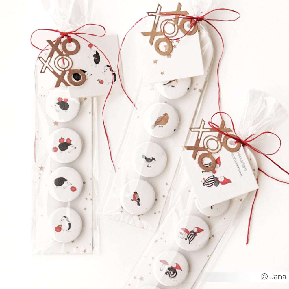 Drei durchsichtige Tüten mit runden Keksen mit Vogelmotiven, verschnürt mit roter Schnur und XO-Anhängern, sind auf weißem Hintergrund angeordnet - perfekt zum Verschenken mit Alexandra Renke Grußkarten oder passendem Designpapier für eine durchdachte Präsentation.