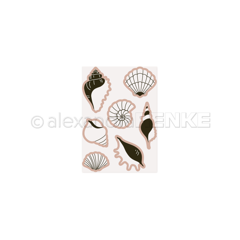 Illustration von sechs Muscheln in verschiedenen Brauntönen auf hellem Hintergrund, perfekt zur Inspiration für Alexandra Renke Cut & Emboss Folder oder Stanzsysteme Projekte.