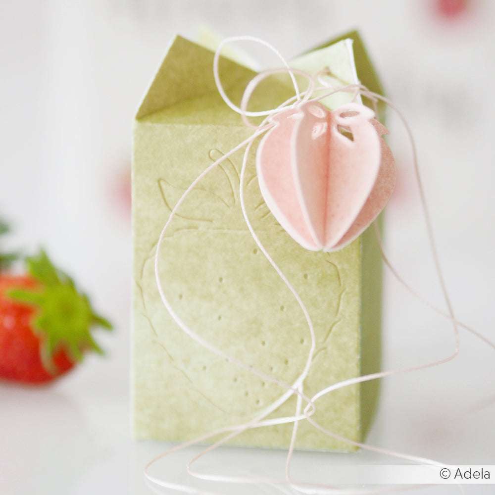 Hellgrüne Geschenkschachtel mit einer rosafarbenen Dekoration in Form einer Erdbeere, die mit Alexandra Renke Motivstanze Erdbeere und Schnur hergestellt wurde, vor einer verschwommenen Erdbeere im Hintergrund.