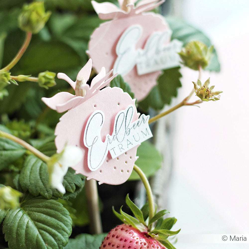 Aus der Motivstanze Abriss Erdbeere von Alexandra Renke wurden rosafarbene Papierschilder mit der Aufschrift "Erdbeer Traum" hergestellt, die zwischen Erdbeerpflanzen mit reifenden Früchten platziert wurden.