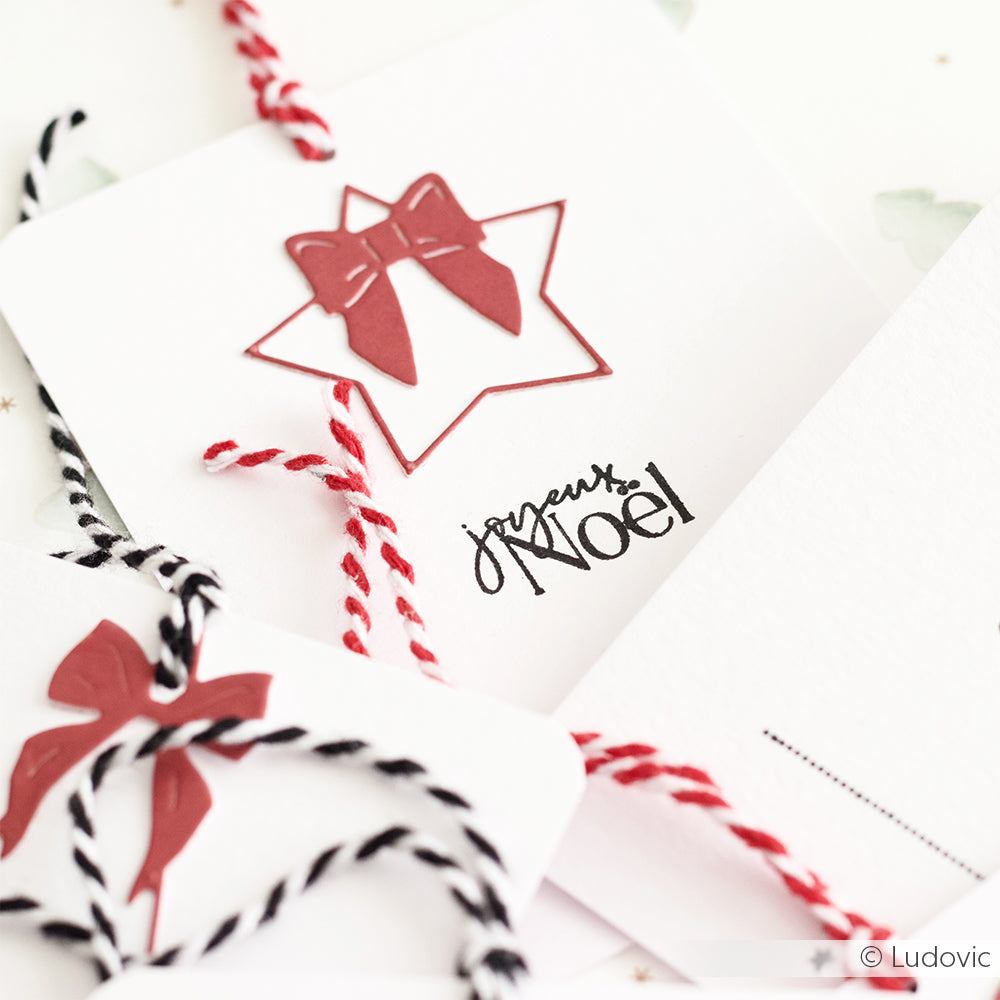 Weiße Karte von Alexandra Renke mit Designpapier, roter Schleife, gestanztem Motivstanze Stern mit Schleife, Text "Joyeux Noël" und rot-weißer Schnur.