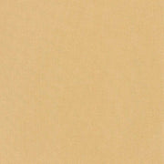 Solider hellbrauner, strukturierter Stoff von ☆, der an Buchleinen erinnert, gleichmäßig beleuchtet, ohne sichtbare Muster oder Designs.