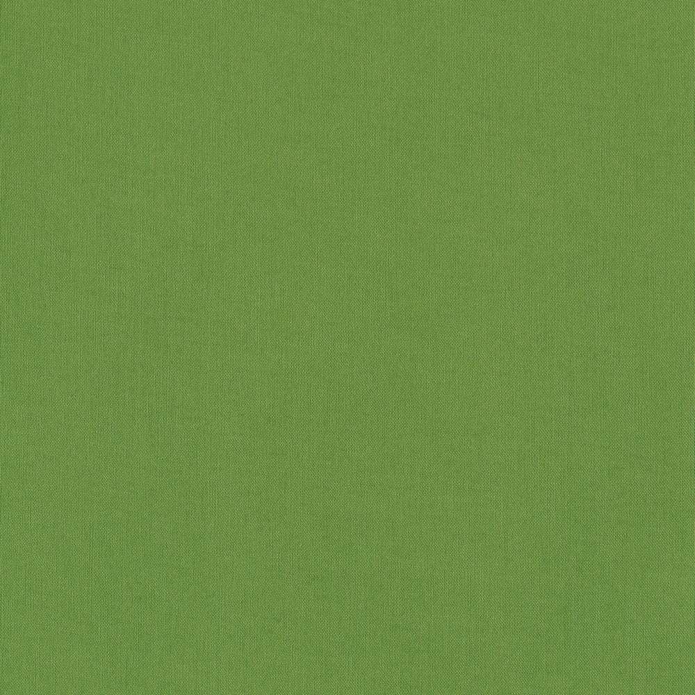 Solider hellgrüner Buchleinen-Stoff von ☆, hergestellt aus Viskose mit strukturierter Oberfläche, gleichmäßig beleuchtet und das gesamte Bild bedeckend.