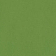 Solider hellgrüner Buchleinen-Stoff von ☆, hergestellt aus Viskose mit strukturierter Oberfläche, gleichmäßig beleuchtet und das gesamte Bild bedeckend.