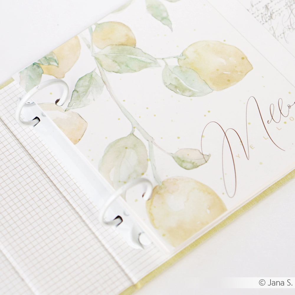 Ring binder mechanism 'Cream white'