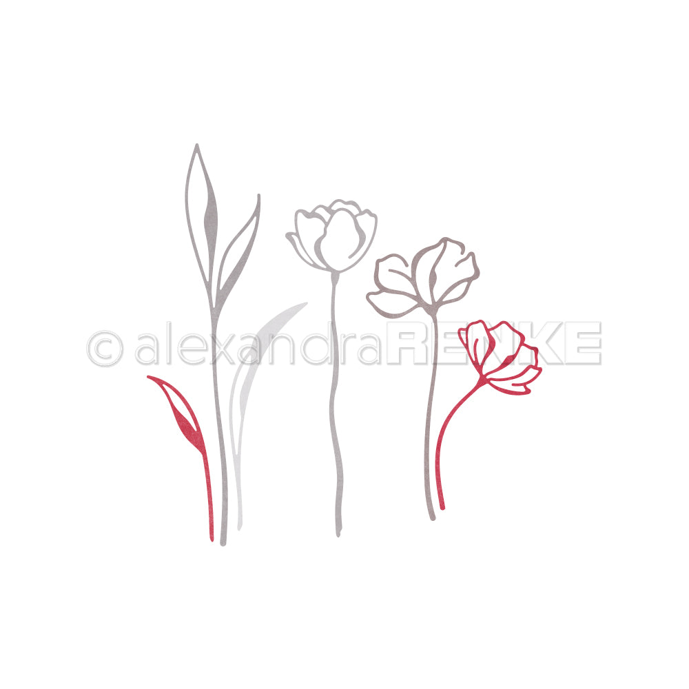 Minimalistische Strichzeichnung von vier Blumen - zwei in Rot, zwei in Grau - auf Weiß. Ideal für kreative Kollektionen oder elegante Designpakete von Alexandra Renke.