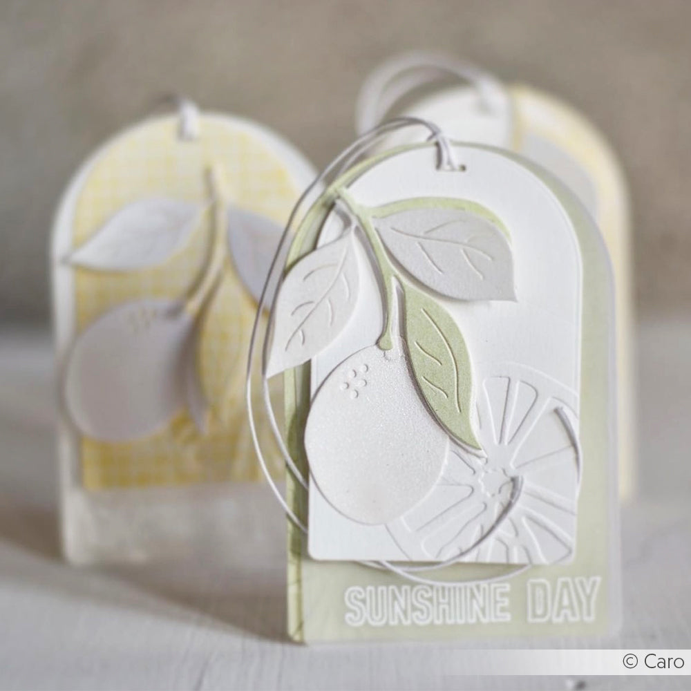 Papieranhänger mit geprägten Zitrusfrüchten und Blättern, hergestellt mit Alexandra Renke Zitrone mit Blättern Dies, mit der Aufschrift SUNSHINE DAY in sanften Pastellfarben.