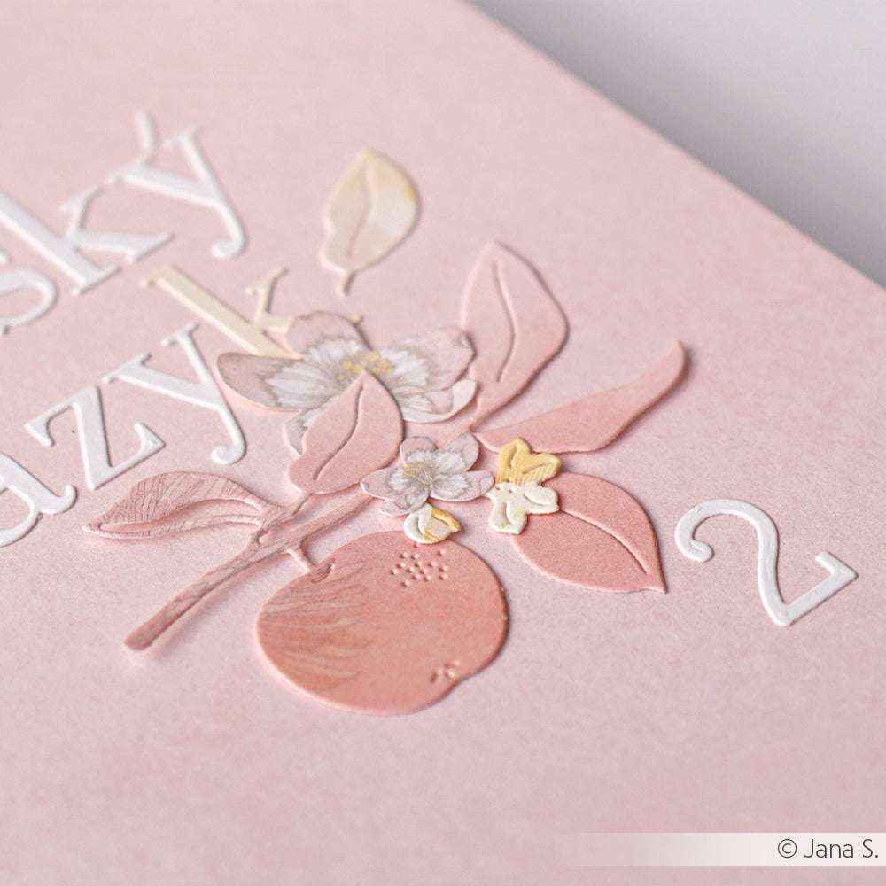 Geprägtes Pfirsich- und Blumendesign mit weißem Text auf zartrosa Hintergrund, mit zarten Details, die mit Alexandra Renke's DieCut Systemen und Motivstanze Apfelzweig Duo hergestellt wurden.