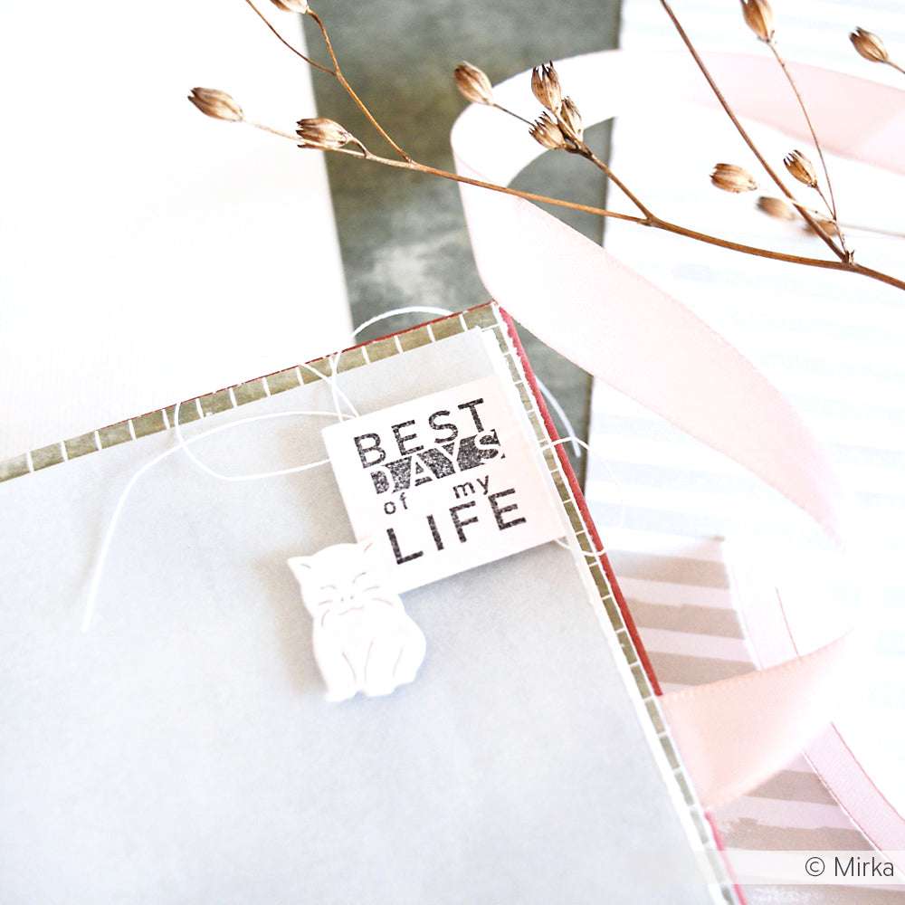 Eine Karte von Alexandra Renke mit einem Katzenanhänger und einem "BEST day of my LIFE"-Anhänger, gebastelt mit Motivstanze Apfelmädchen und Designpapieren, neben einer rosa Schleife und getrocknetem Gras.