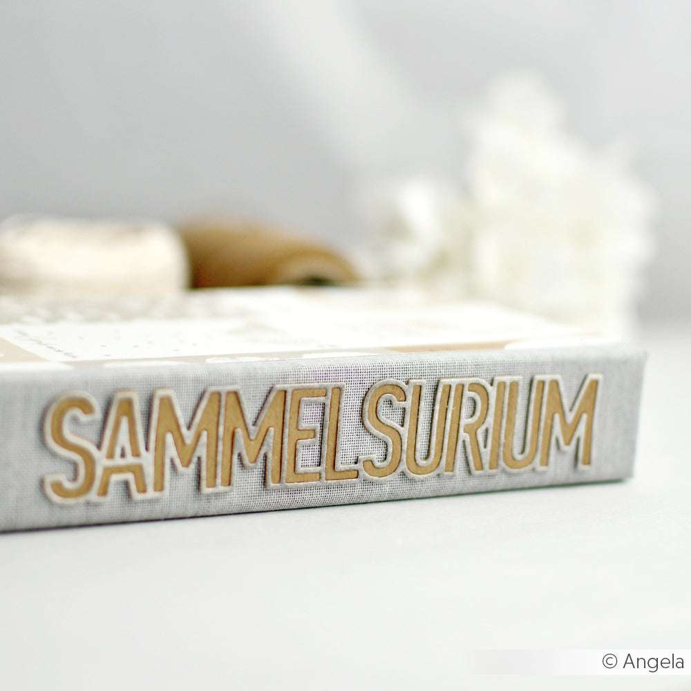 Nahaufnahme eines Buchrückens mit dem Wort SAMMELSURIUM in fetten beigen Buchstaben; Alexandra Renke Stanzsysteme und Dies sind im unscharfen Hintergrund zu sehen.