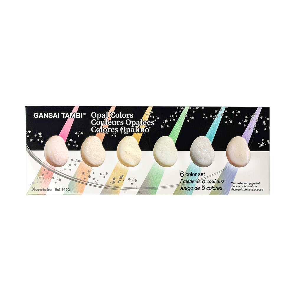 Rechteckige Schachtel mit Kuretake Gansai Tambi Opal Colors Aquarellfarben, die sechs runde Pastellstifte enthält.