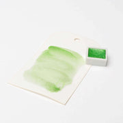 Ein Stück grüne Rico Design Aquarellfarbe mit hoher Deckkraft auf weißem Papier liegt neben einem kleinen grünen Aquarelltopf.