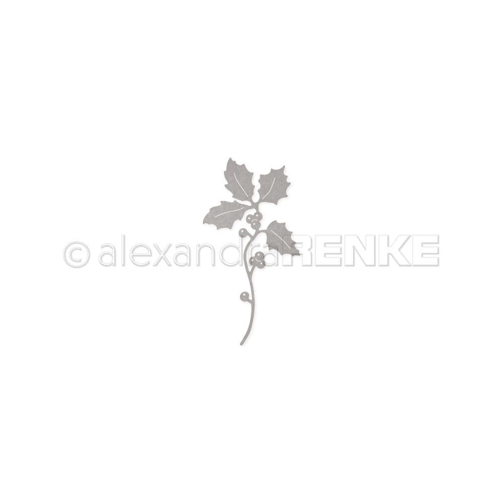 Die 'Ilex branch'