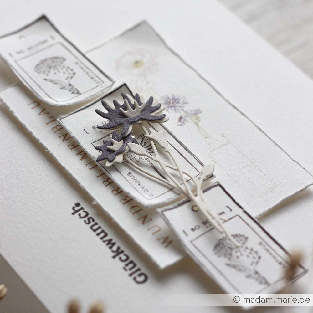 Handgemachte Grußkarte von Alexandra Renke mit botanischen Stempeln, PAPPcut®ies-Papierblumen und einem weißen, strukturierten Hintergrund, der mit Deep Edge Motivstanzen hergestellt wurde, um feine Details zu erzeugen.